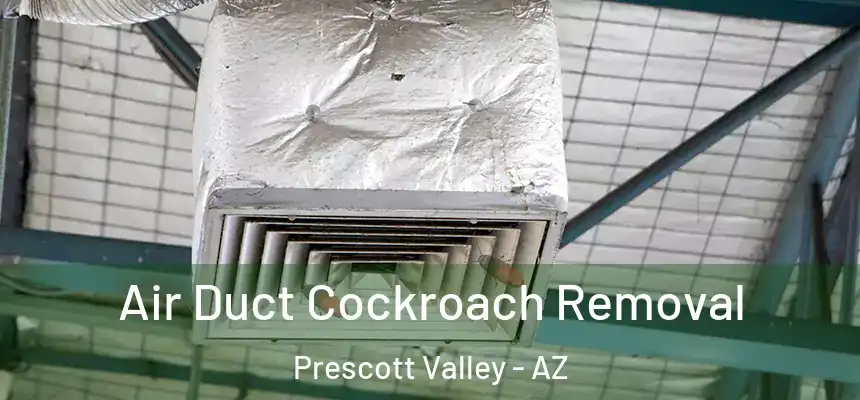 Air Duct Cockroach Removal Prescott Valley - AZ