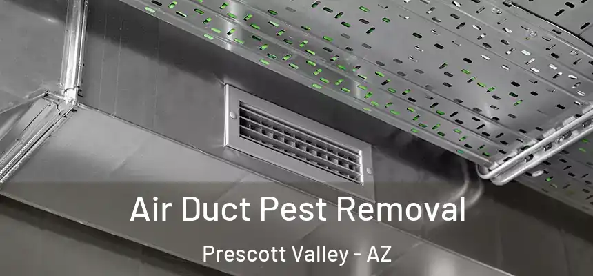  Air Duct Pest Removal Prescott Valley - AZ