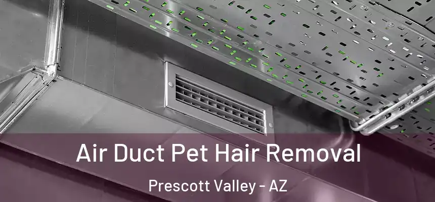 Air Duct Pet Hair Removal Prescott Valley - AZ