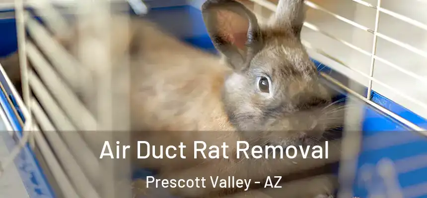  Air Duct Rat Removal Prescott Valley - AZ