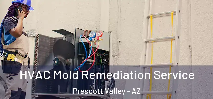 HVAC Mold Remediation Service Prescott Valley - AZ