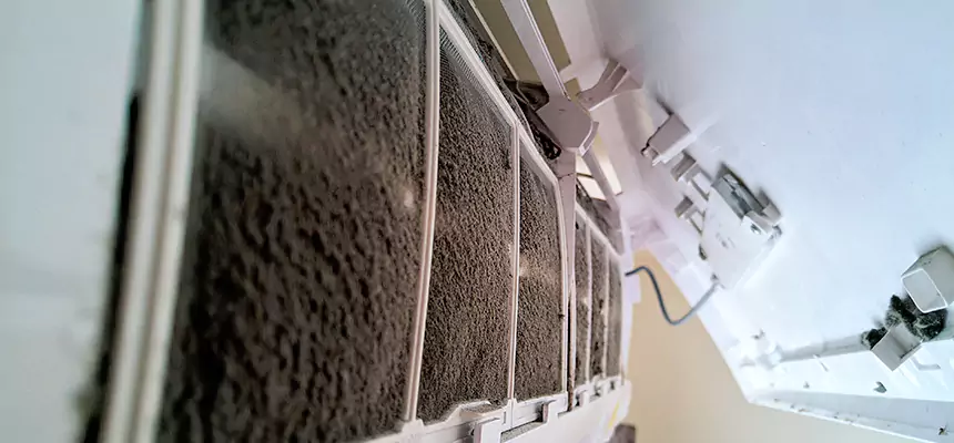 Preventive Air Duct Bacteria Removal in Prescott Valley