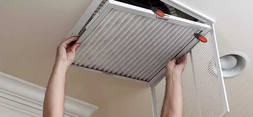 Preventive Cockroach-Proofing for Ducts in Prescott Valley