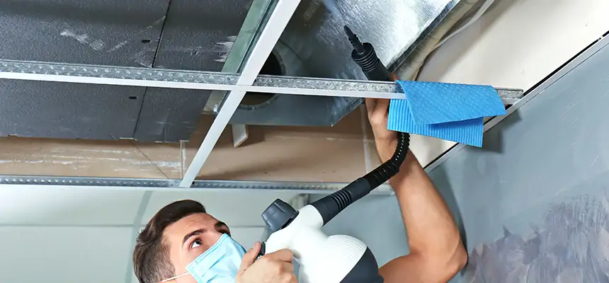 Our Air Duct Rodent Removal Services in Prescott Valley, AZ