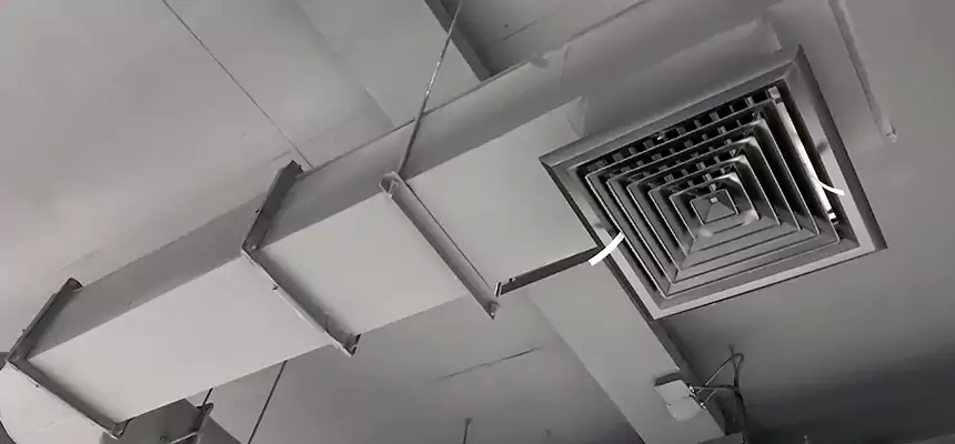 Our Pest Removal From Ducts Services in Prescott Valley, AZ