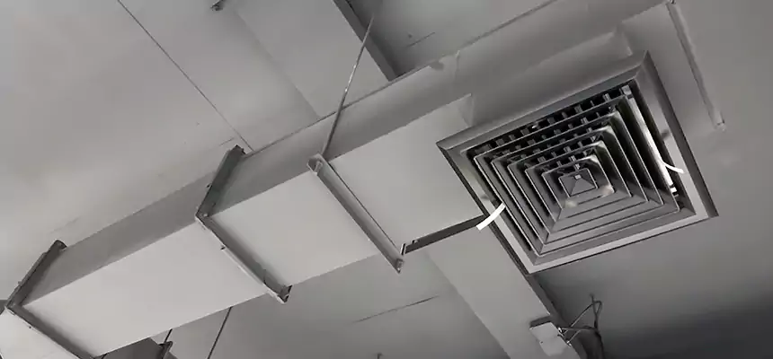 Our Rodent Droppings In Vents Services in Prescott Valley, AZ