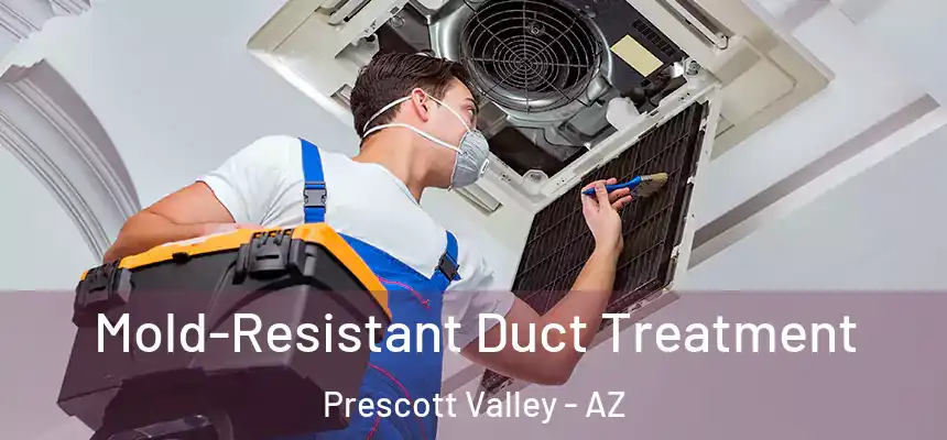  Mold-Resistant Duct Treatment Prescott Valley - AZ