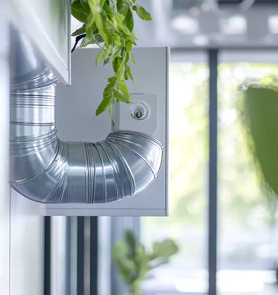 Professional Eco-Safe Dryer Vent Cleaning in Prescott Valley, AZ