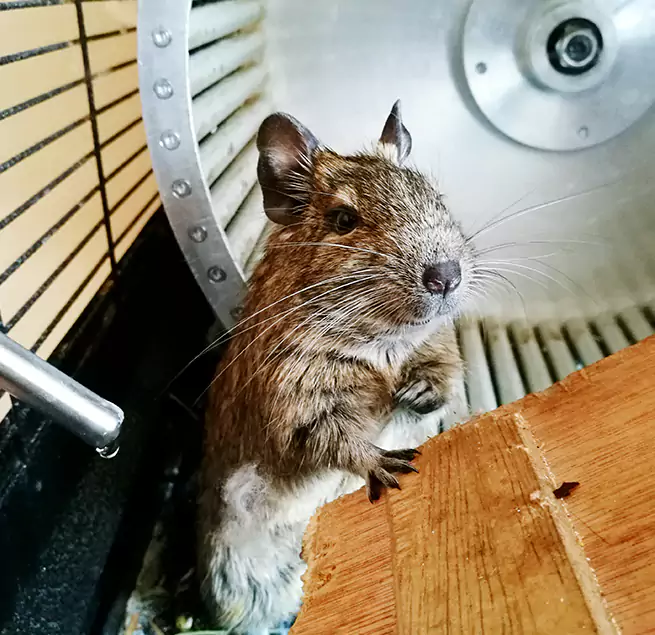 Why Homeowners & Businesses Trust Us Prescott Valley, AZ?