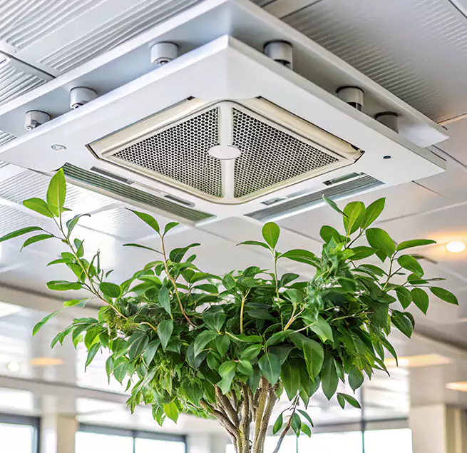 Why Homeowners & Businesses Trust Us in Prescott Valley, AZ?